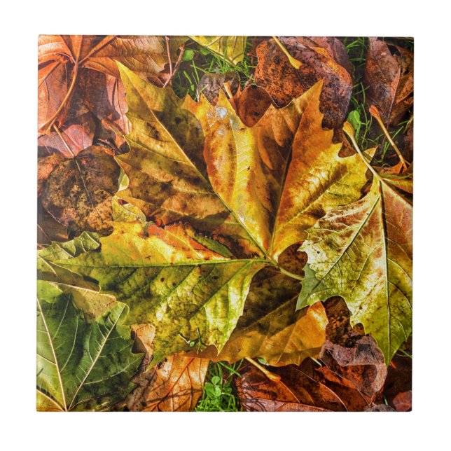 Autumn leaves ceramic tile (Front)