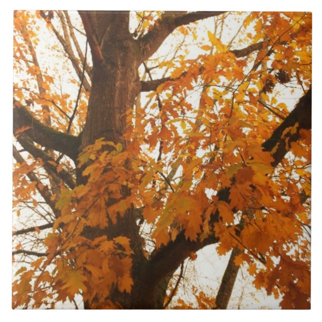 Autumn Leaves Ceramic Tile (Front)