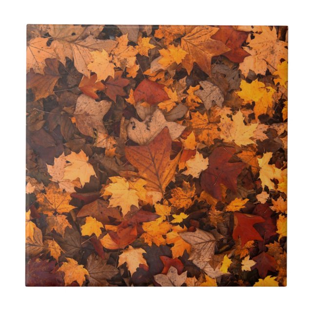 Autumn Leaves Ceramic Tile (Front)