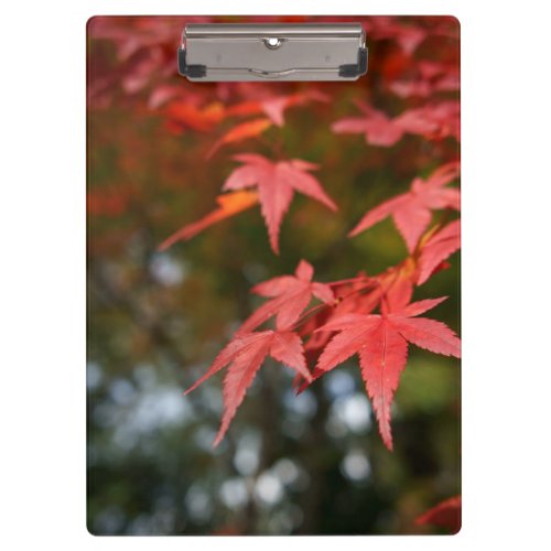 Autumn Leaves Clipboard