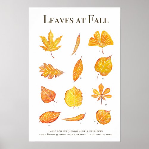 Autumn leaves collection watercolour poster