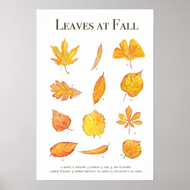 Autumn leaves collection watercolour poster (Front)