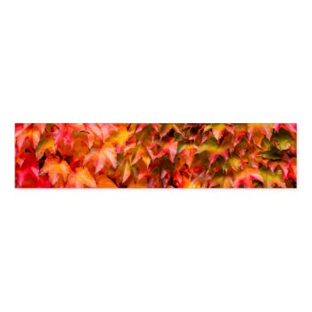 Autumn Leaves Colorful Napkin Bands by stdjura at Zazzle