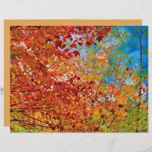 Autumn Leaves Colorful Orange Fall Themed Blue Sky