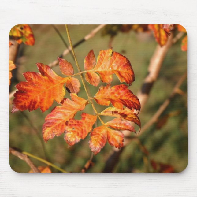 Autumn Leaves Colors Mousepad (Front)
