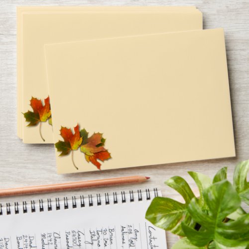 Autumn Leaves  Envelope