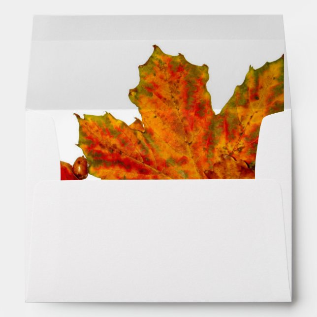 Autumn Leaves Envelope - Thanksgiving Invitation (Back (Bottom))