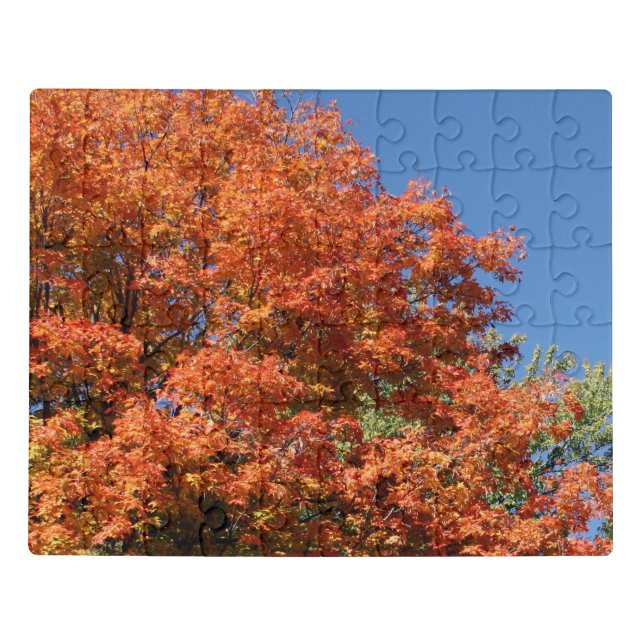 Autumn Leaves | Fall Beauty Jigsaw Puzzle (Puzzle Horizontal)