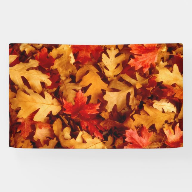 Autumn Leaves - Fall Color Banner (Horizontal)