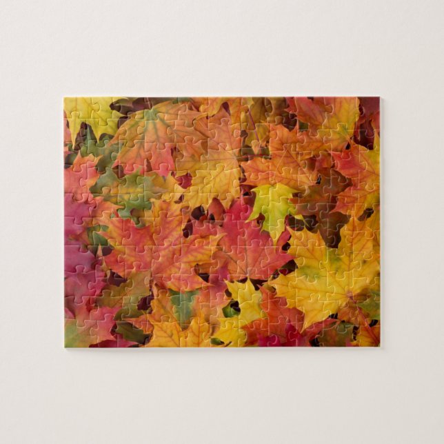 Autumn Leaves Fall Color Family Quiet Fun Jigsaw Puzzle (Horizontal)