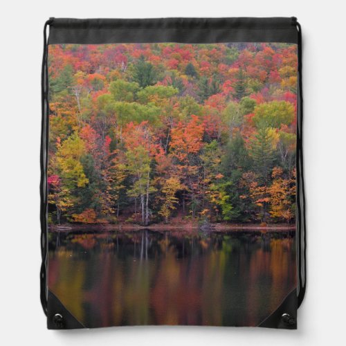 Autumn Leaves Fall Color Scene Drawstring Backpack