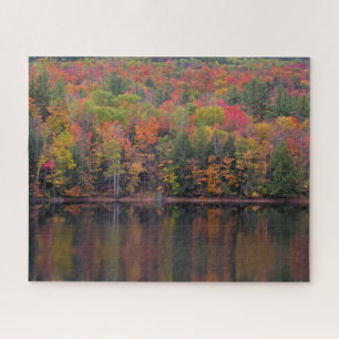Autumn Leaves Fall Color Scene Jigsaw Puzzle
