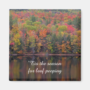Autumn Leaves Fall Color Scene Magnet