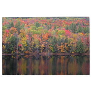 Autumn Leaves Fall Color Scene Metal Wall Art