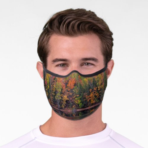 Autumn Leaves Fall Color Scene Premium Face Mask