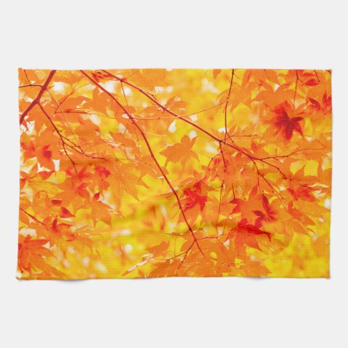 Autumn Leaves Fall Color Trees Yellow  Kitchen Towel