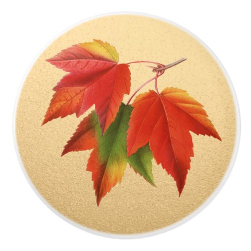 Autumn Leaves Fall Colors Maple Leaf on Gold Ceramic Knob