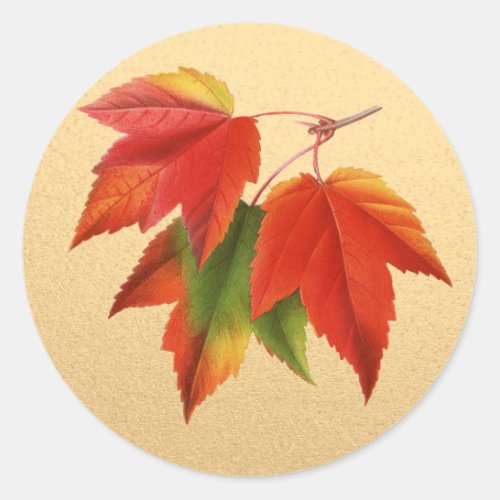 Autumn Leaves Fall Colors Maple Leaf on Gold Classic Round Sticker