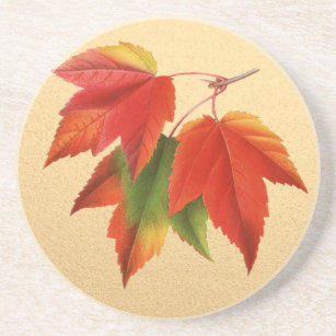 Autumn Leaves Fall Colors Maple Leaf on Gold Drink Coaster