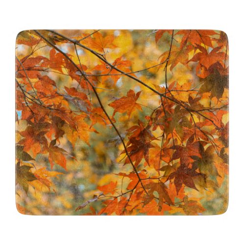 Autumn Leaves Fall Foliage Orange Nature Cutting Board