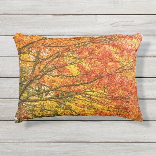 Autumn Leaves Fall Foliage Outdoor Accent Pillow