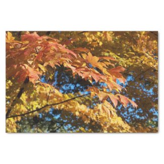 Autumn Leaves Fall Season  Craft 