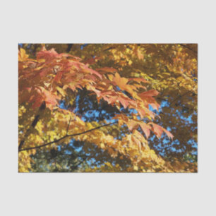 Autumn Leaves Fall Season Craft Tissue Paper