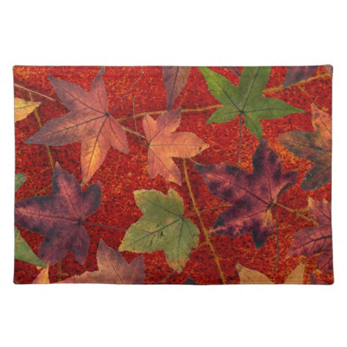 Autumn Leaves Fall Season Tree Leaf Colorful Cloth Placemat