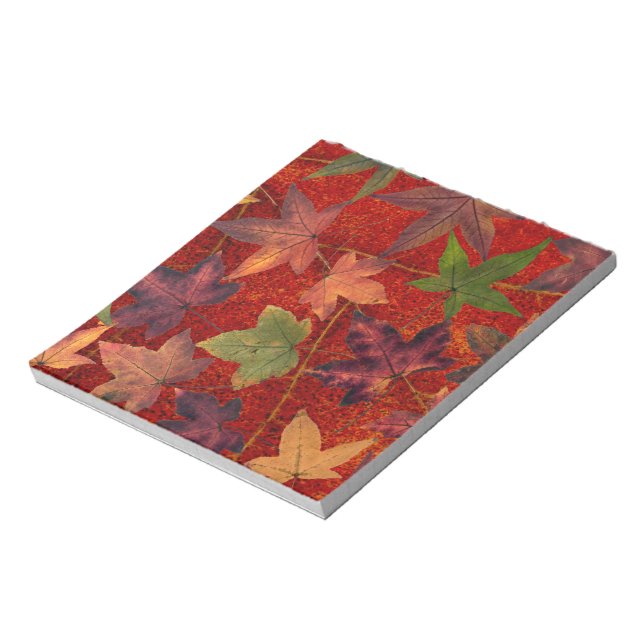Autumn Leaves Fall Season Tree Leaf Colorful Notepad (Rotated)