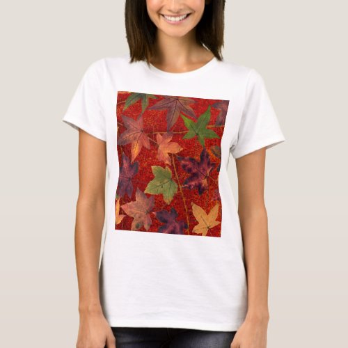 Autumn Leaves Fall Season Tree Leaf Colorful T_Shirt