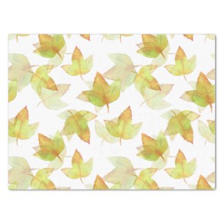 Autumn Leaves Falling, Colors of Fall