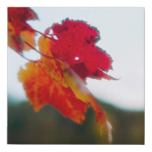 Autumn Leaves Faux Wrap Canvas