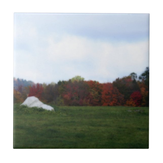 Autumn Leaves Field Nature Art Tile (Front)