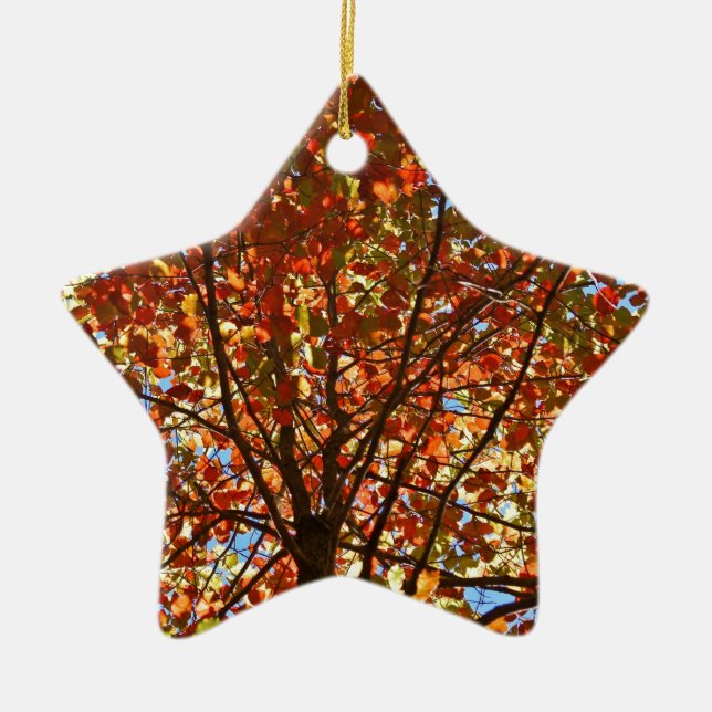 Autumn Leaves Fireworks Ceramic Ornament (Front)