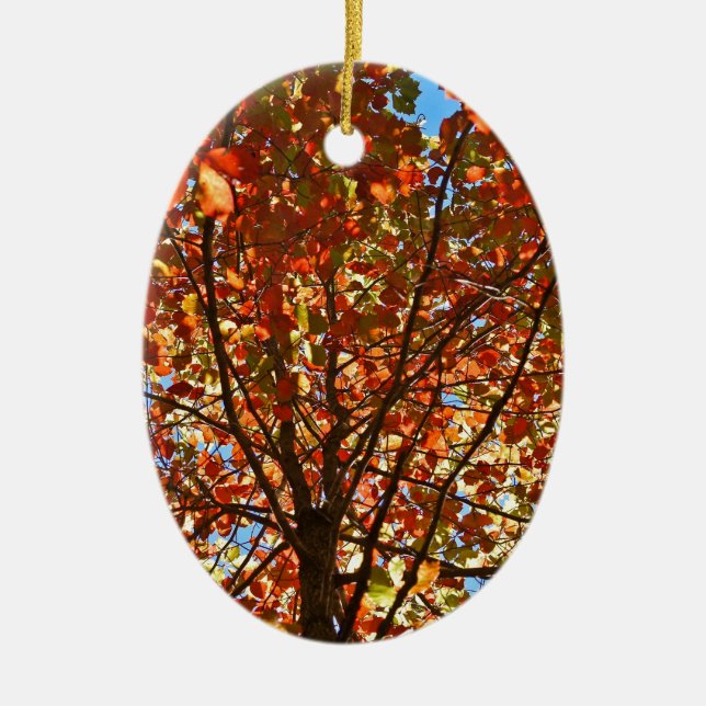 Autumn Leaves Fireworks Ceramic Ornament (Front)