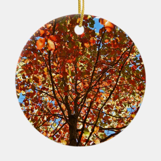 Autumn Leaves Fireworks Ceramic Ornament (Front)