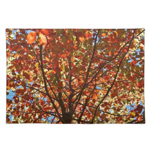 Autumn Leaves Fireworks Cloth Placemat