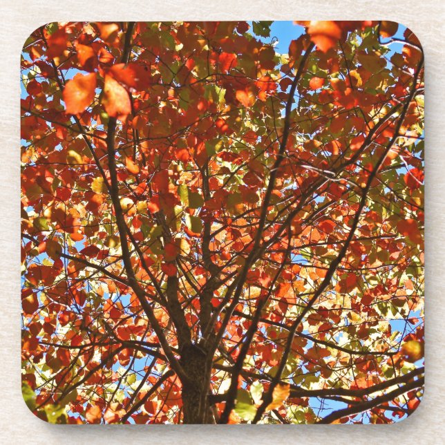 Autumn Leaves Fireworks Drink Coaster (Front)