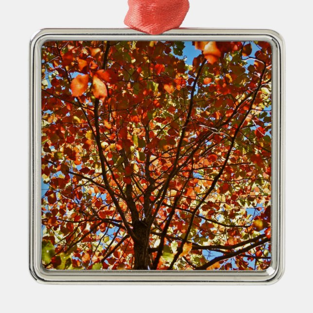 Autumn Leaves Fireworks Metal Ornament (Front)