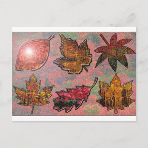 Autumn Leaves Foliage Postcard
