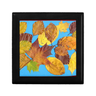 Autumn Leaves Gift Box