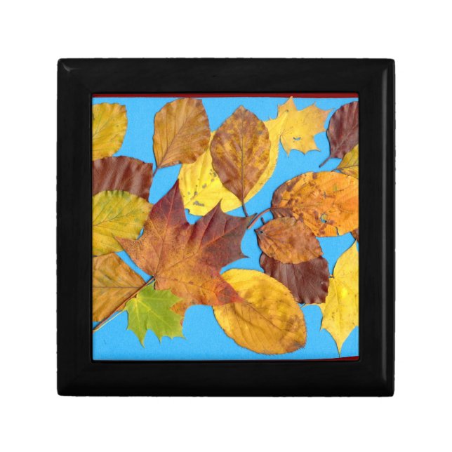 Autumn Leaves Gift Box (Front)