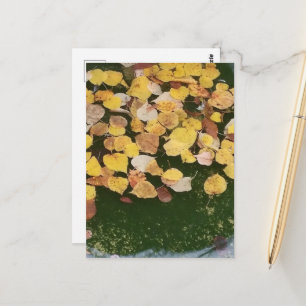Autumn leaves in a Pella Iowa Fountain Postcard