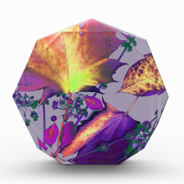 Autumn Leaves in Lilac Award (Front)