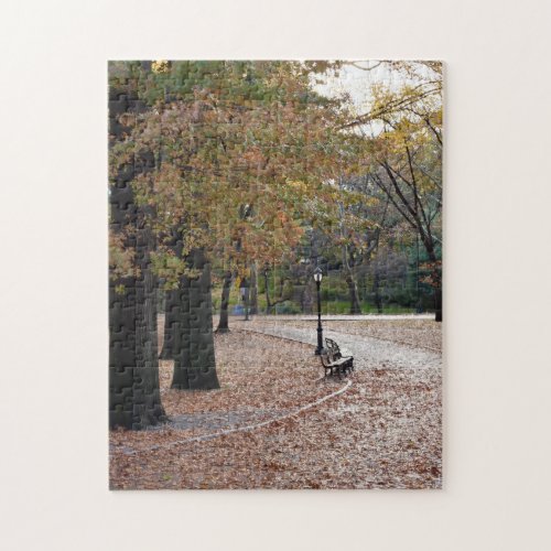 Autumn Leaves in New York City Central Park NYC Jigsaw Puzzle