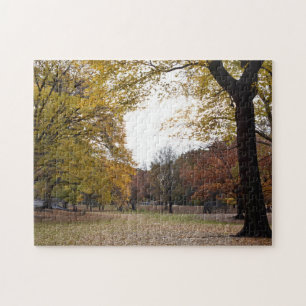 Autumn Leaves in New York City Central Park NYC Jigsaw Puzzle