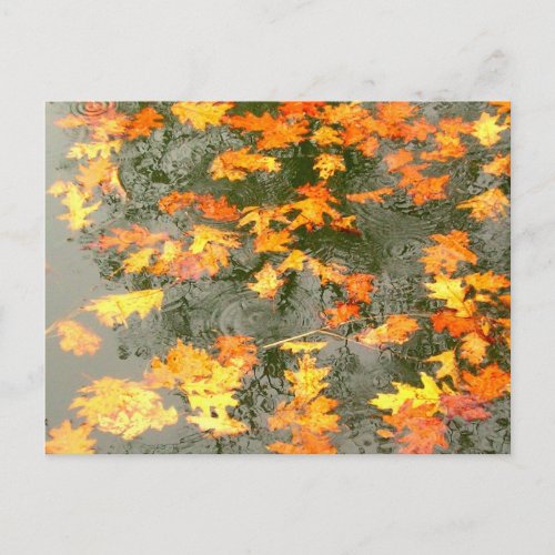 Autumn leaves in rain postcard