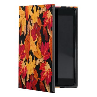 Autumn Leaves in Red Orange Yellow Brown Cases For iPad Mini