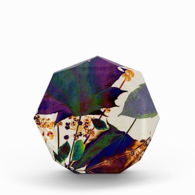 Autumn Leaves in Royal Colors Award (Front)