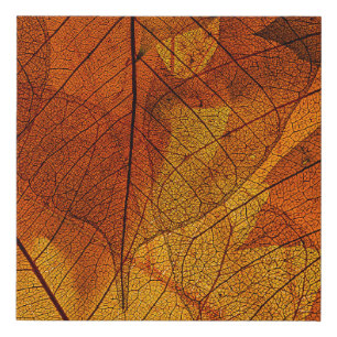 autumn leaves in the detailautumn,background,beaut faux canvas print